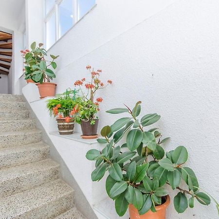 Apartments Zora Starigrad Paklenica Exterior foto